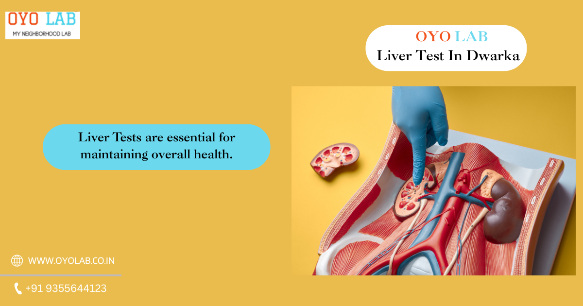 Liver Test In Dwarka