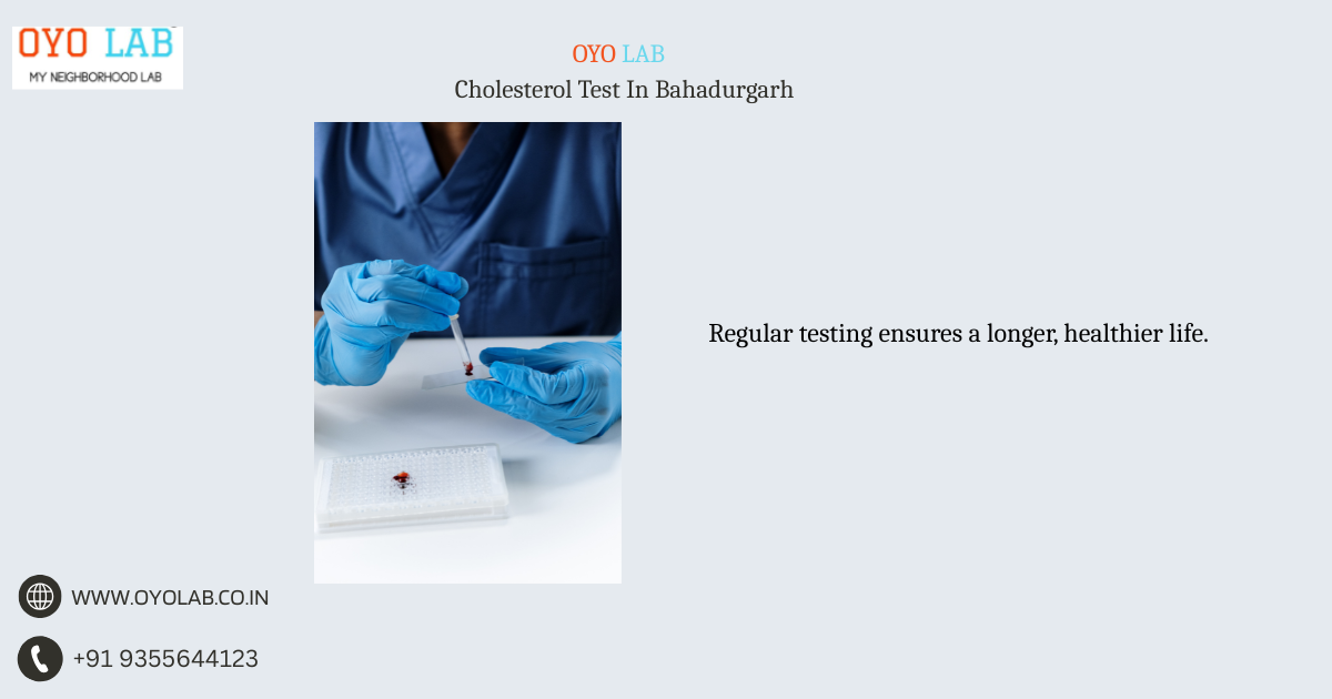 Cholesterol Test In Bahadurgarh